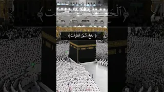 الحج أشهر معلومات سورة البقرة القارئ ياسر الدوسري قرآن كريم 