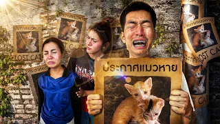 ไปตามหาแมวของเจ๊เปรี้ยวที่หายไปอย่างไร้ร่องรอย!!
