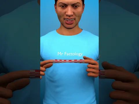 How Chinese Finger Trap Work 🤔 #shortvideo #3danimation