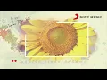 WOW - Engkau Tetap Satu (Official Lyric Video)