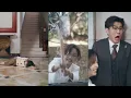 Download Lagu 出軌丈夫阻攔妻子，直接害死了親生女兒，妻子開始黑化，展開復仇！進門#复仇 #复仇剧 #复仇爽片 #重生 #重生復仇 #重生逆襲
