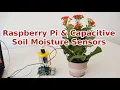 Raspberry Pi and Capacitive Soil Moisture Sensors for Gardening