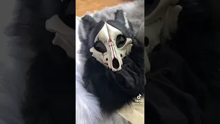 Skull dog tiktoks pt4