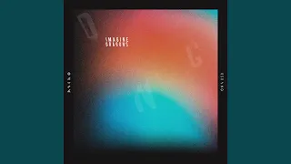imagine dragons wurtz iberian muse remix 