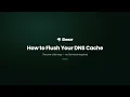 How to Flush DNS Cache on Mac in One Click No Terminal