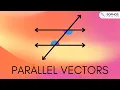 Parallel Vectors