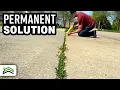 Weed-Free Driveways and Sidewalks The Ultimate Solution
