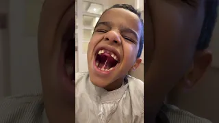                     دندنها