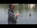 Maine begins posting daily fish stocking reports