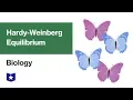 Hardy-Weinberg Equilibrium Biology