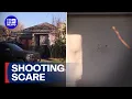 Multiple shots fired in drive-by shooting 9 News Australia