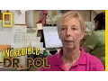 Chat With Diane Pol The Incredible Dr Pol