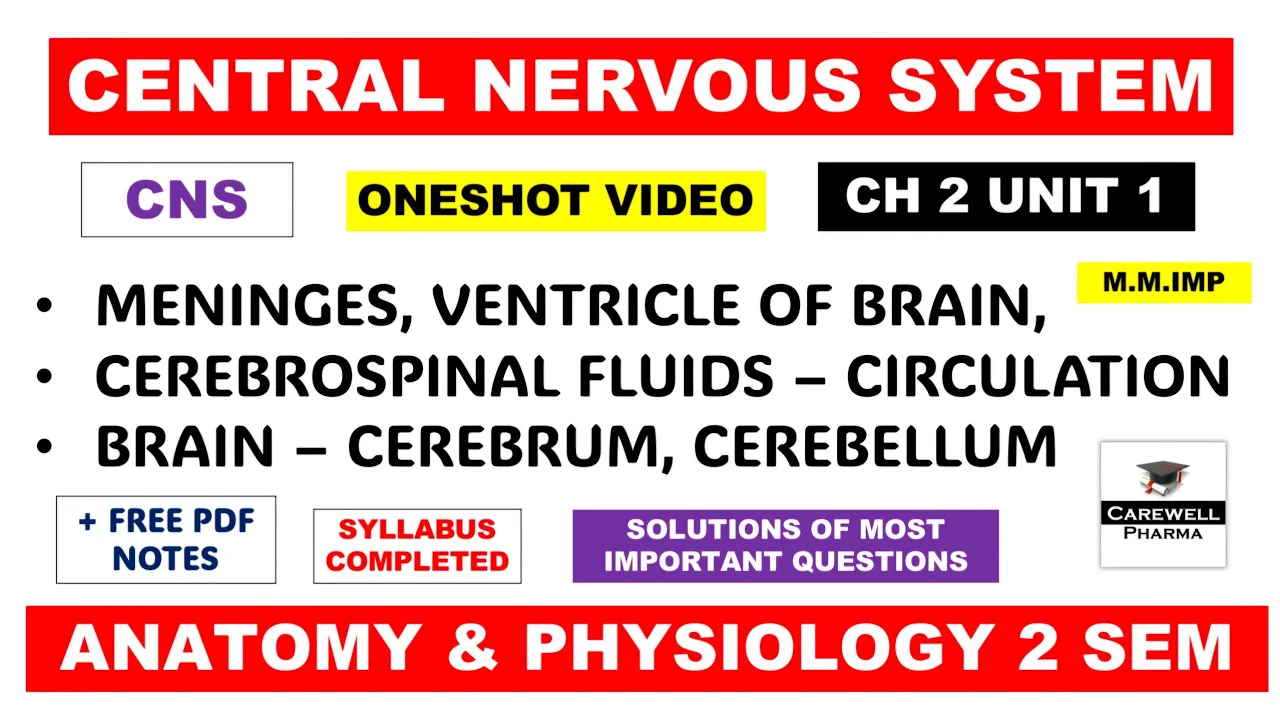 Unit 1 Central Nervous System CNS complete || Brain CSF Ventricles Meninges | hap 2nd Semester