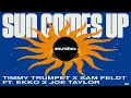 Timmy Trumpet & Sam Feldt & Ekko feat. Joe Taylor - Sun Comes Up