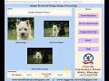 Image Retrieval Using Image Processing Matlab Project With Source Code