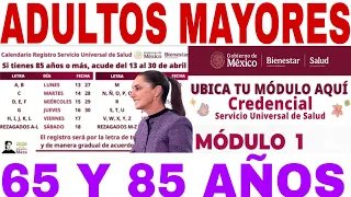 65 y 85 a os credencial universal de salud c mo cu ndo d nde m dulos 
