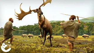 A Neanderthal Odyssey Everything We Know about the Neanderthals