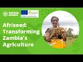 Download Lagu Afriseed: Transforming Zambia's Agriculture