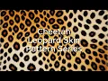 Stunning Cheetah or Leopard Skin Pattern Elevate Your Style with Unique Prints