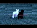 Download Lagu Lil Peep, rainy bear – nuts (ultra slowed x reverb)