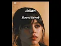 Sultaan - Shikari | Faris Shafi | Avvy Sra | Arvvindr S Khaira | Desi Melodies Slow  reverb Song2025