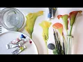 Download Lagu Introduction to Painting Arums online with Issy van Zyl at her web-studio Painting Plants.