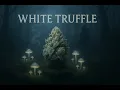 White Truffle Strain Review Potent Indica with Funky Flavor