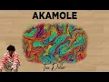Teee Dollar - AKAMOLE (Lyrics Video)