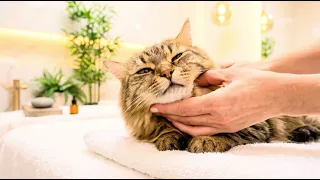 Meow Meow Luna’s Relaxing Spa Day ✨ Full Cat ASMR Beauty Session (So Satisfying)