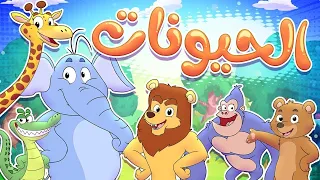 Marah Tv قناة مرح أغنية الحيوانات  Marah Tv قناة مرح أغنية الحيوانات