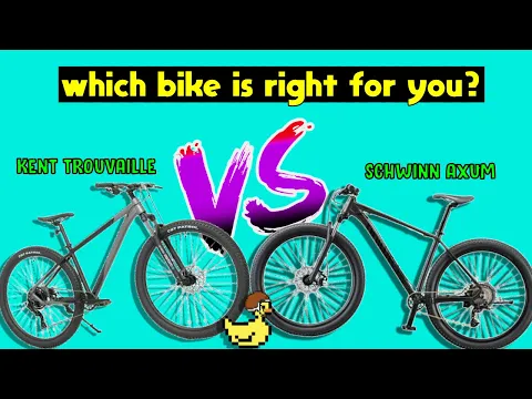 Trek bikes vs schwinn hotsell