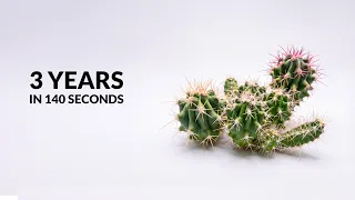 I grew a cactus from seed and filmed it for 3 years