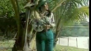 cinta rahasia elvy sukaesih lirik m harris