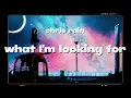 Download Lagu CHRIS RAIN - \