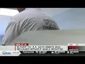 Blount Co D A says inmate was released without ankle monitor