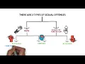 Criminal Law - Chapter 7 Sexual Offences Degree