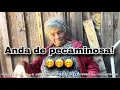 ANDA DE PECAMINOSA!   🤭🤭🤭