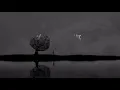 A Lin - A Kind of Sorrow Pinyin Lyrics 有一種悲傷歌詞