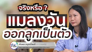 แมลงวันชนิดไหนสามารถออกลูกเป็นตัวได้บ้าง