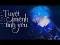 Download Lagu Tuyệt Mệnh Tình Yêu - Vương Triệu Anh [LYRIC VIDEO]