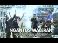 Download Lagu NGANTOS WALERAN ~ ABIEL JATNIKA X MELINDA Entertainment
