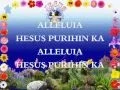 Download Lagu JMCIM PAPURI MEDLEY