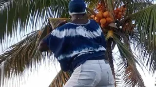 master kg j rusalem version gymnastique chalenge