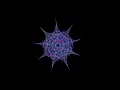 Hidden-pro-Graphics786