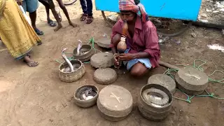                                    دندنها