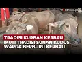 Lagu Meski Harga Naik, Tradisi Sunan Kudus Tetap Jadi Alasan Warga Pilih Kurban Kerbau | OneNews Update