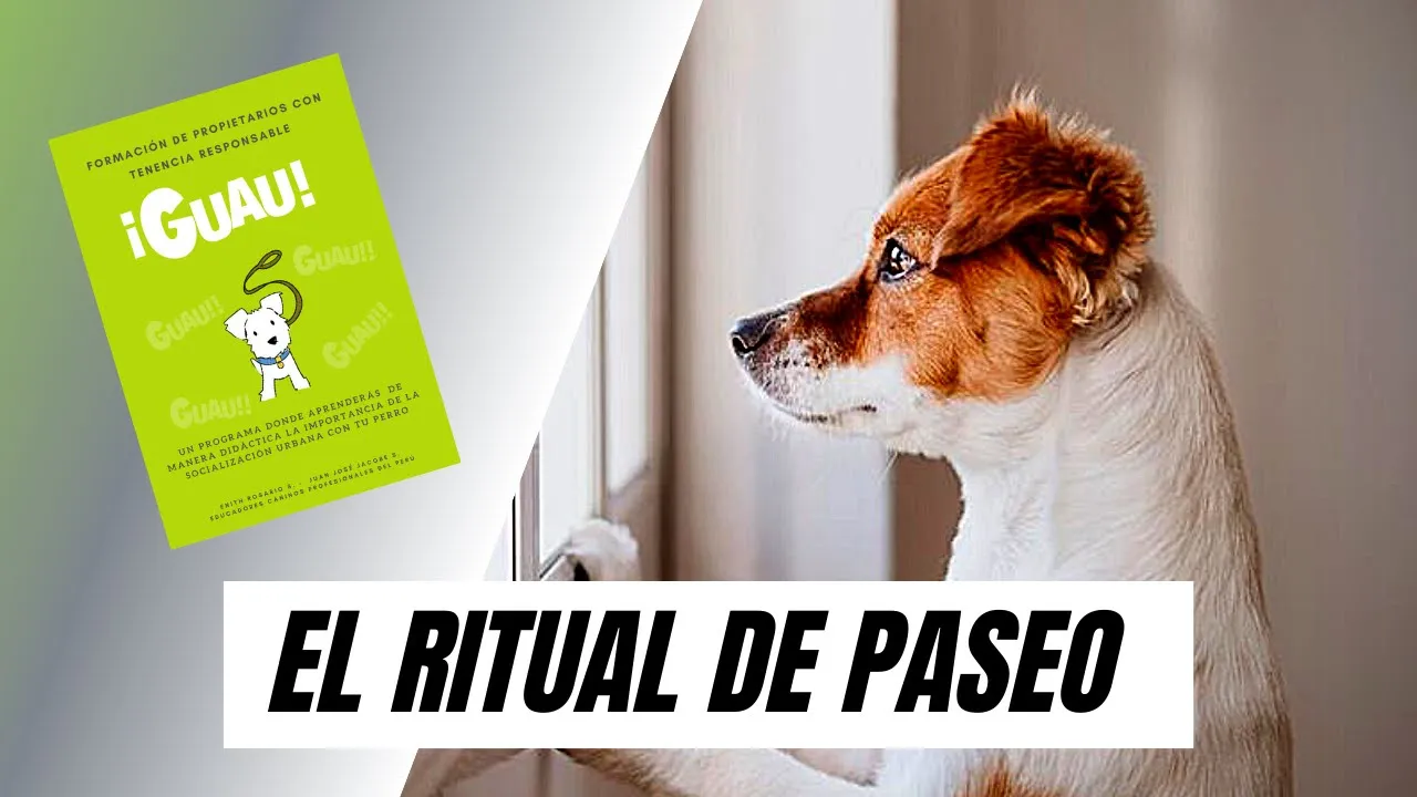 El ritual de paseo