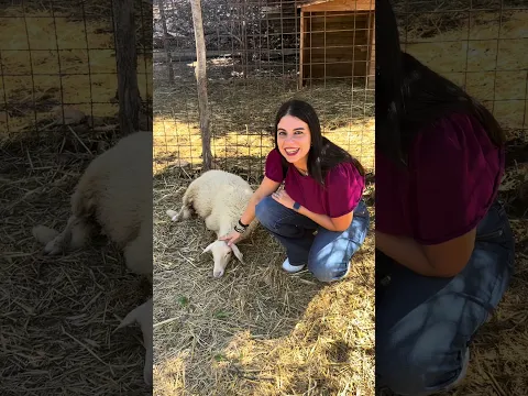 NON POTETE CAPIRE 😍 #animals #love #life #goodvibes #corinnemantineo