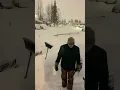 Snow in anchorage Alaska December 2022