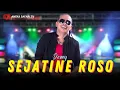 Download Lagu Karaoke - Sejane Roso - Demy (Official Video Karaoke ANEKA SAFARI)